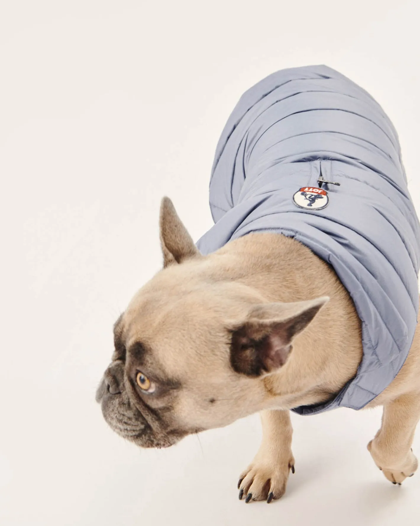 Hondenjassen-JOTT Doudoune Pour Chien Bleu Delave Woop 182 Bleu Delave