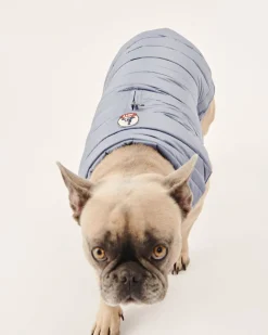 Hondenjassen-JOTT Doudoune Pour Chien Bleu Delave Woop 182 Bleu Delave