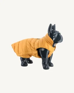 Hondenjassen-JOTT Doudoune Pour Chien Moutarde Woop 621 Moutarde