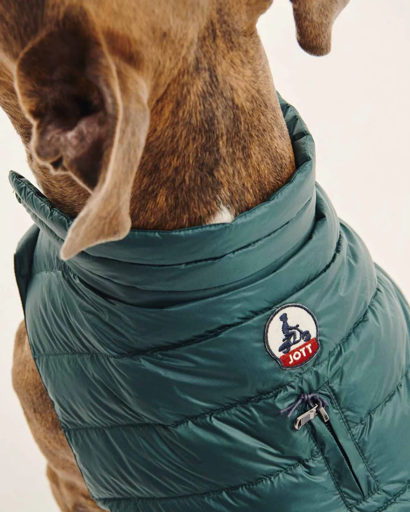 Hondenjassen-JOTT Doudoune Pour Chien Vert Fonce Woop 203 Vert Fonce